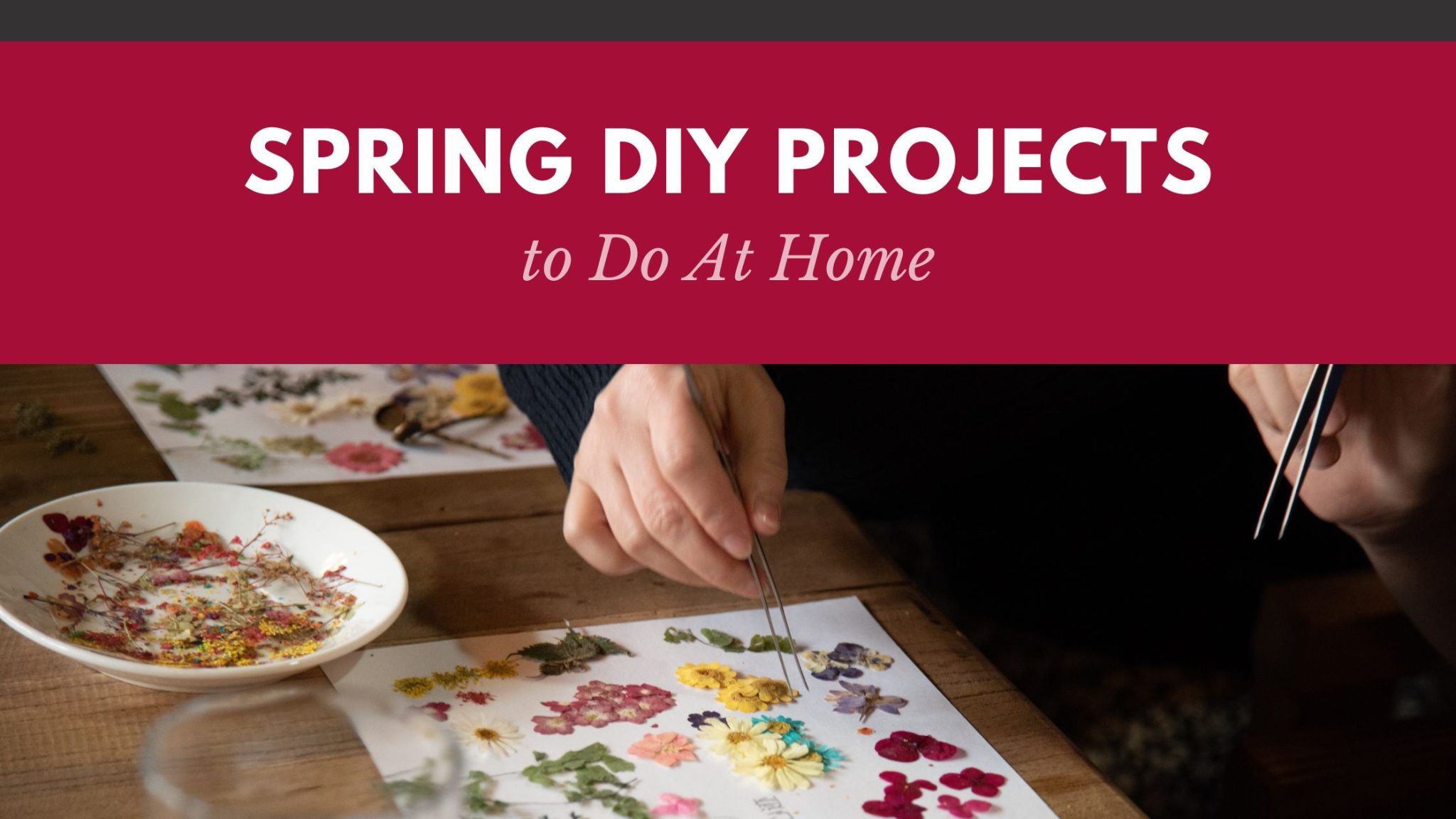 spring-diy-projects-to-do-at-home-southside-alabama