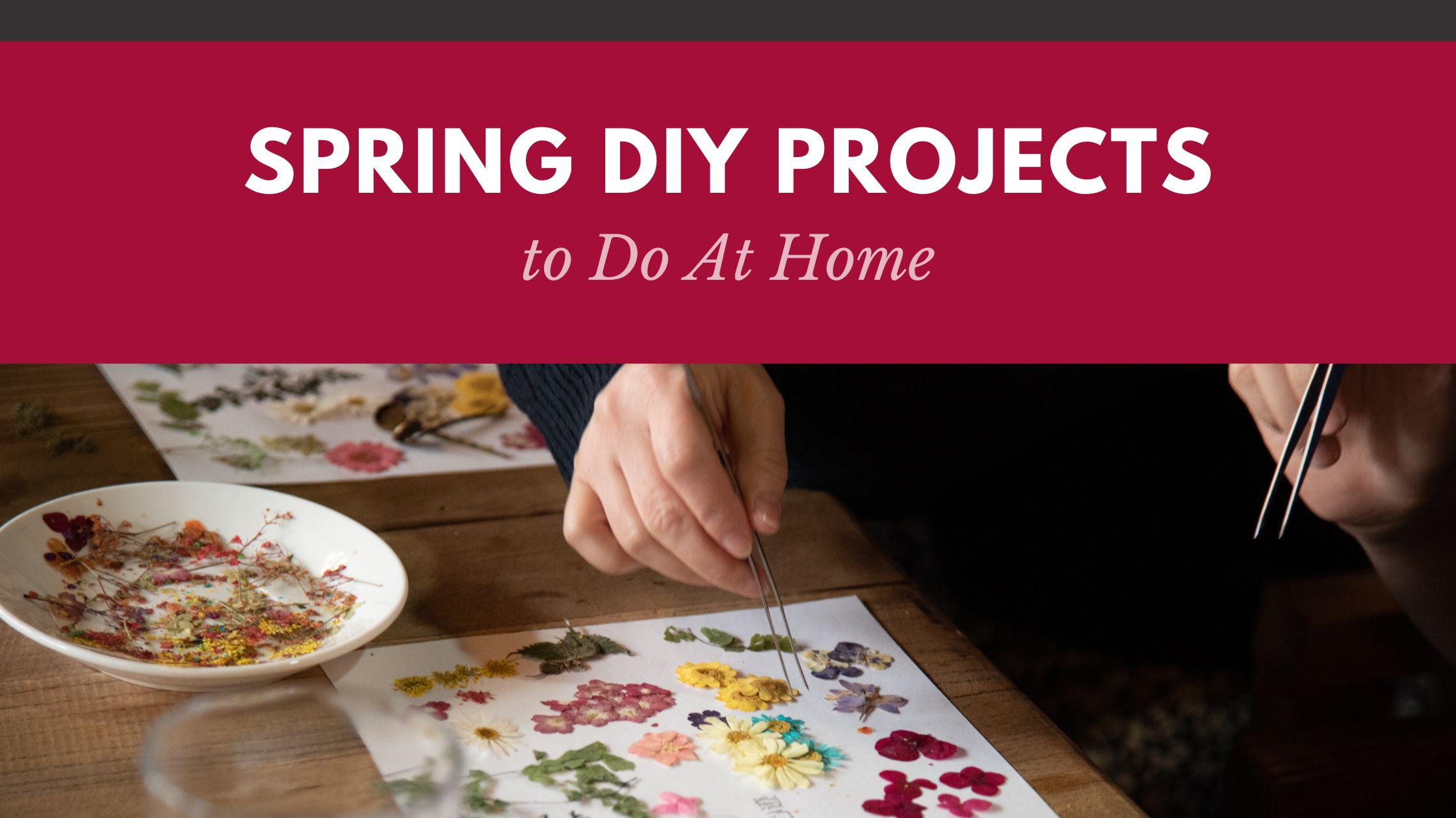 Spring DIY Projects to Do At Home