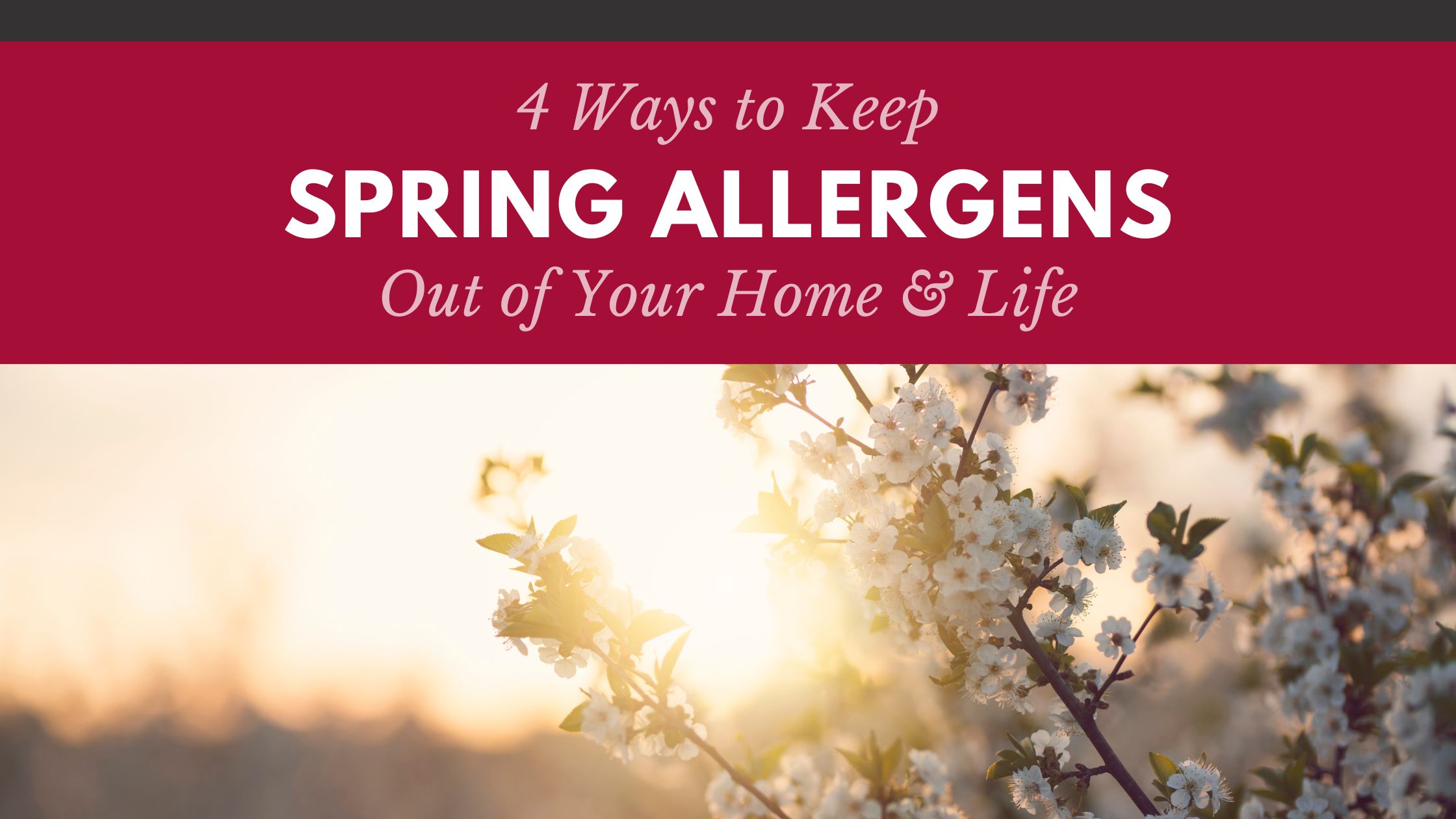 4 Ways to Keep Spring Allergens Out of Your Home & Life