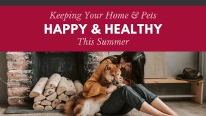 Keeping Your Home & Pets Healthy & Happy This Summer
