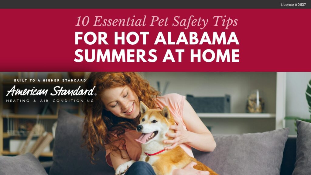 10 Essential Pet Safety Tips for Hot Alabama Summers at Home