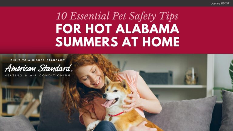 10 Essential Pet Safety Tips for Hot Alabama Summers at Home