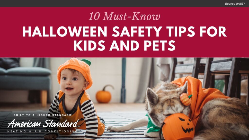 10 Must-Know Halloween Safety Tips for Kids and Pets