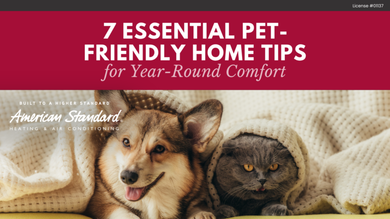 7 Essential Pet-Friendly Home Tips for Year-Round Comfort
