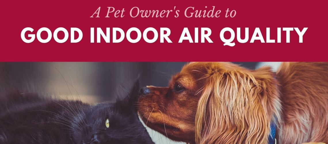 pet owner's guide to good indoor air quality